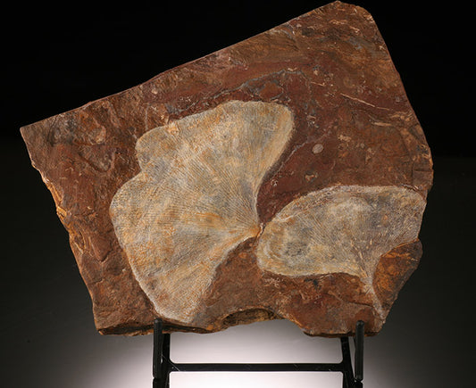 Ginkgo Leaf Plate (with stand)