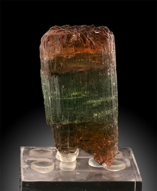 1-3/4" Bicolor Elbaite Tourmaline