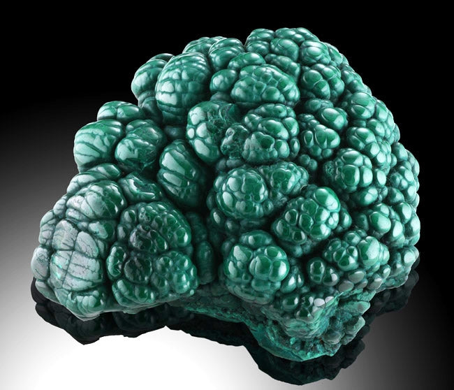 4" Malachite Brain