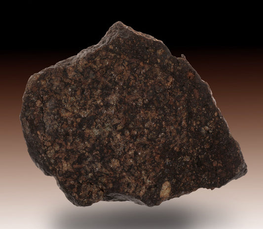 Meteorite "Dar Al Gani 319"