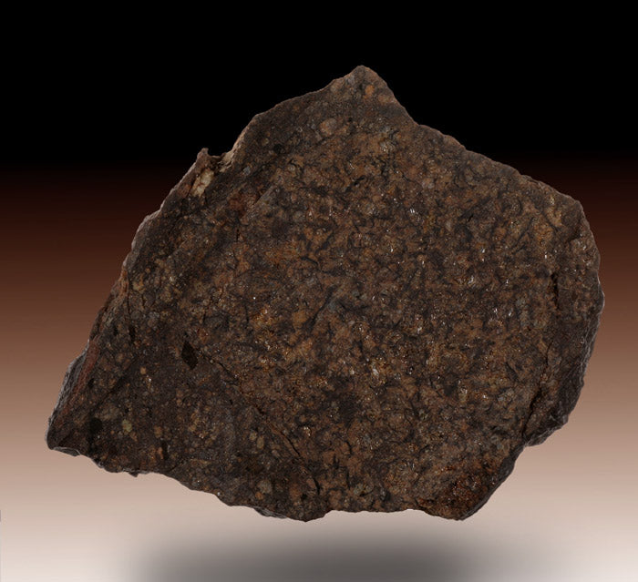 Meteorite "Dar Al Gani 319"