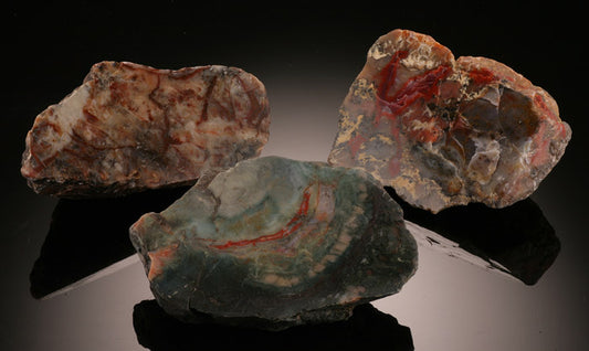 Medium Fossilized Dino Dung (Coprolite)