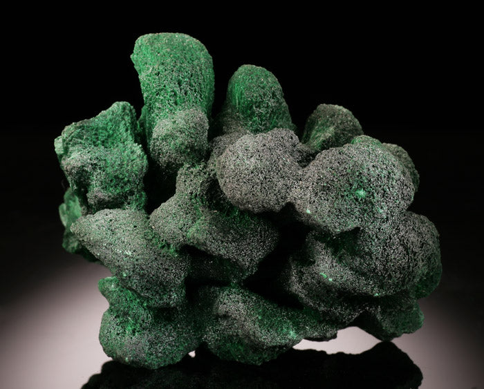 Velvet Malachite