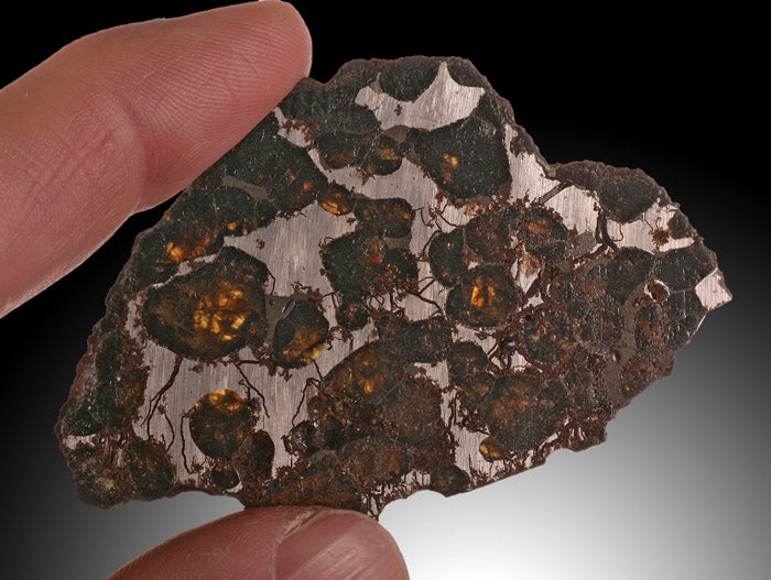 24g Brahin Pallasite Meteorite
