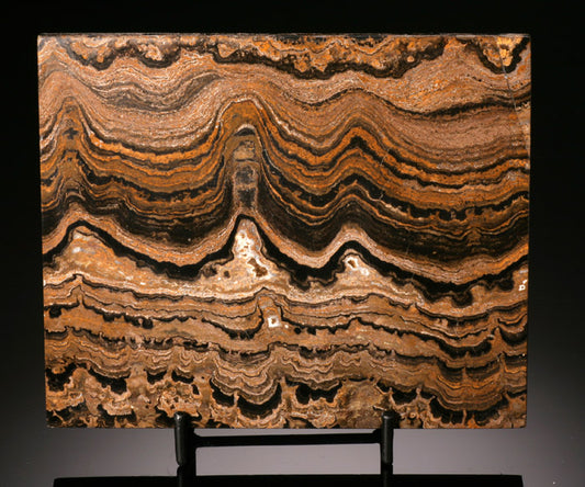 Stromatolite Slab from Bolivia (with stand)