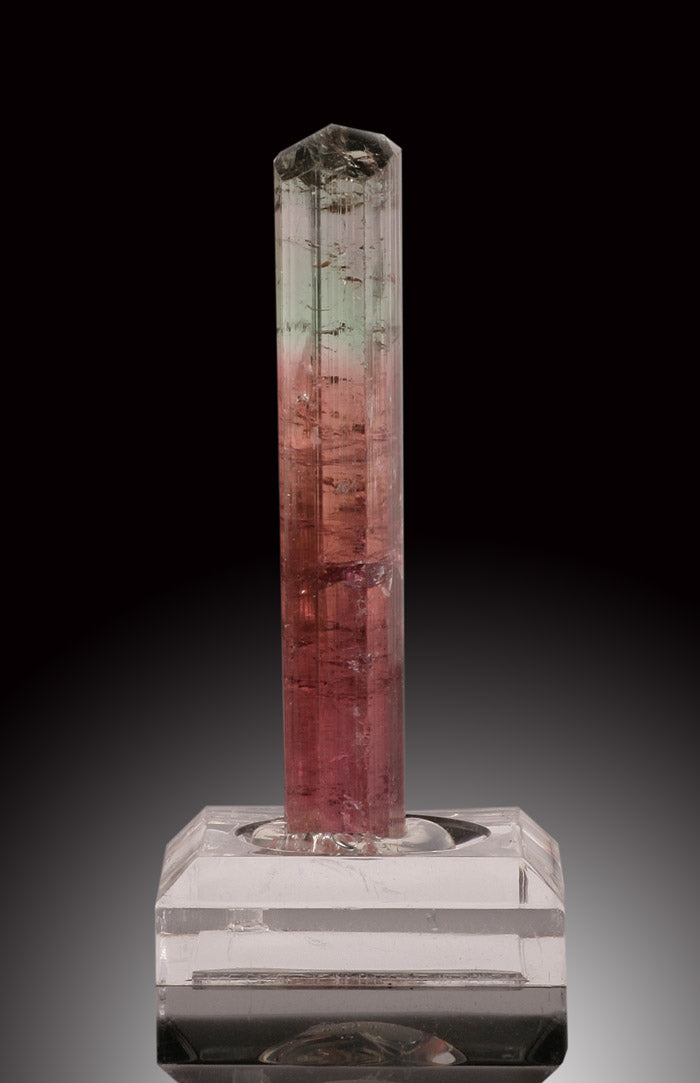 Bicolor Tourmaline