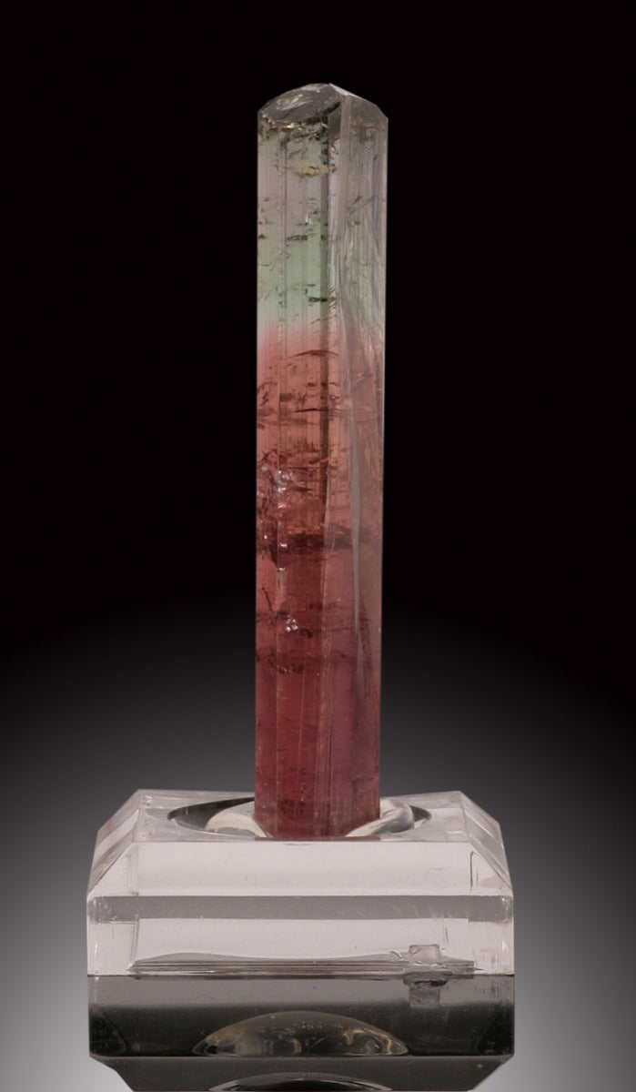 Bicolor Tourmaline