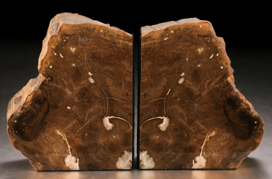 Petrified Wood Bookends (Australia)