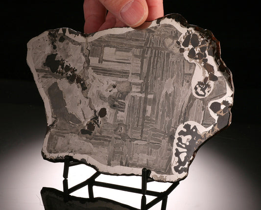 7" Seymchan Pallasite Meteorite Slab with Schreibersite (with stand)