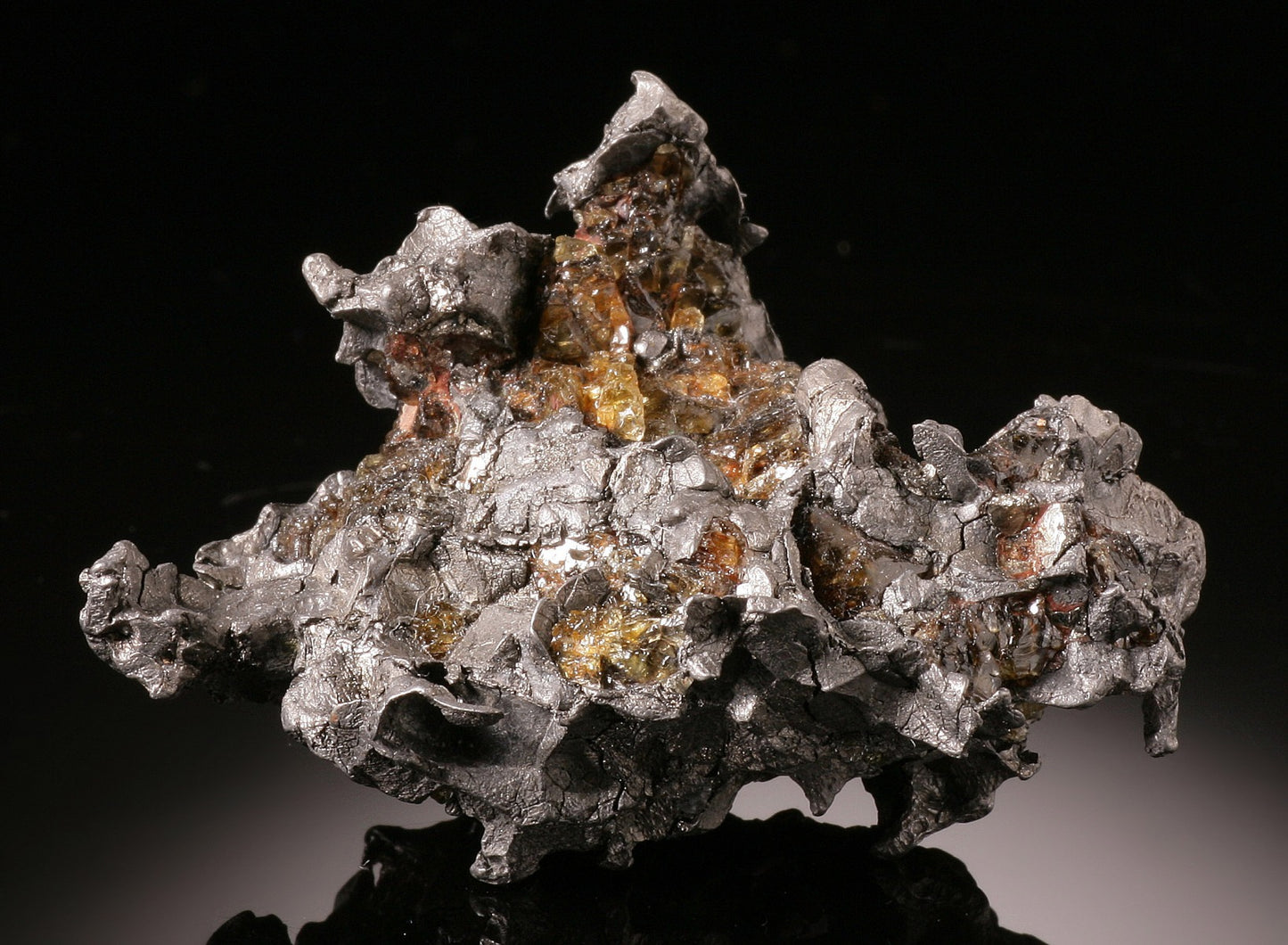 56.3g Brahin Meteorite