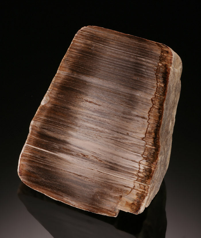 Trout Creek Petrified Wood Stand Up