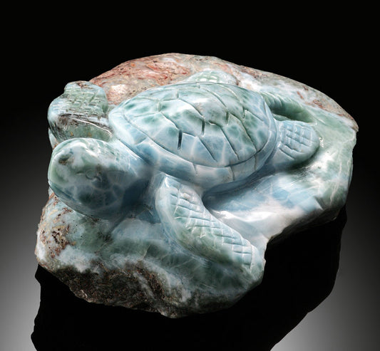 Larimar Sea Turtle
