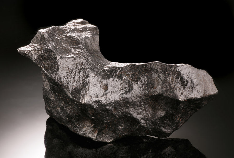 Large Gibeon Meteorite