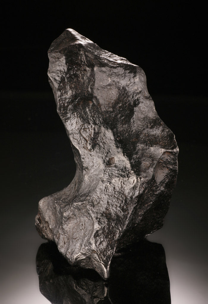 Large Gibeon Meteorite