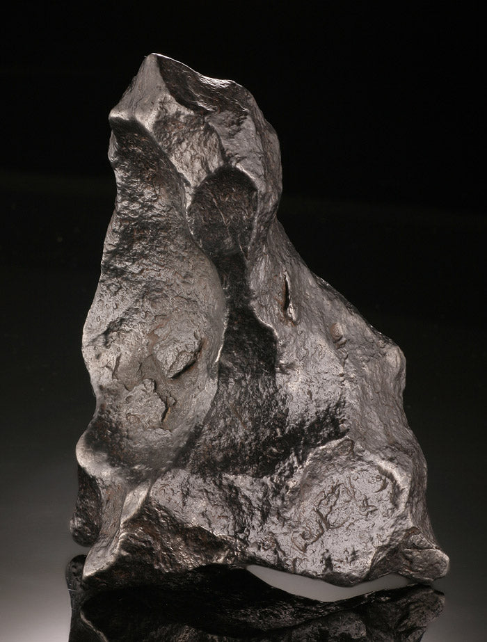 Large Gibeon Meteorite