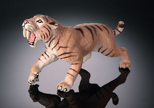 Saber Tooth Tiger (Smilodon)
