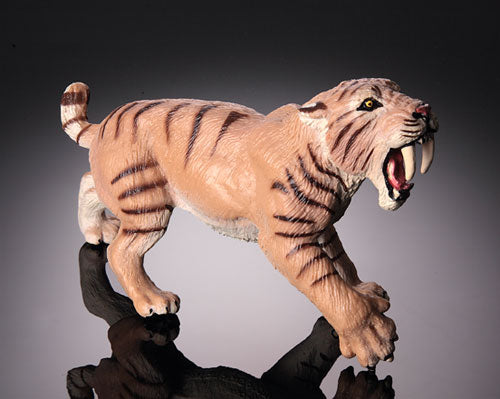 Saber Tooth Tiger (Smilodon)