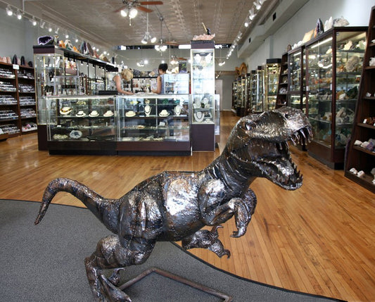 Daves Display cases and silver T-rex statue