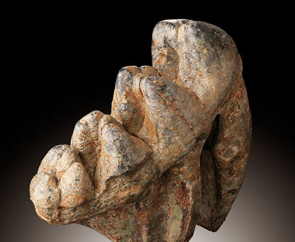 Early Elephant (Gomphotherium), Tooth