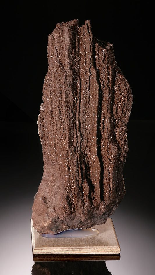 Druzy Petrified Wood