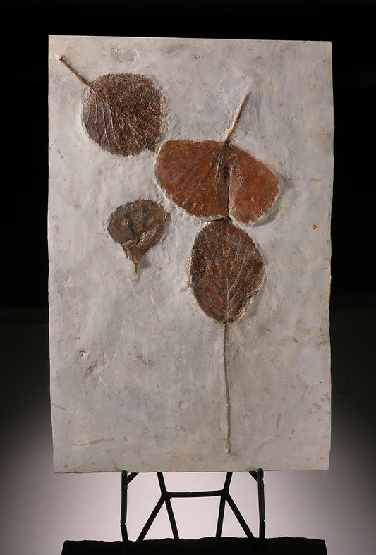 Multi-Leaf Fossil Plate (with stand)