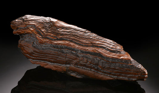 Banded Iron Stromatolite
