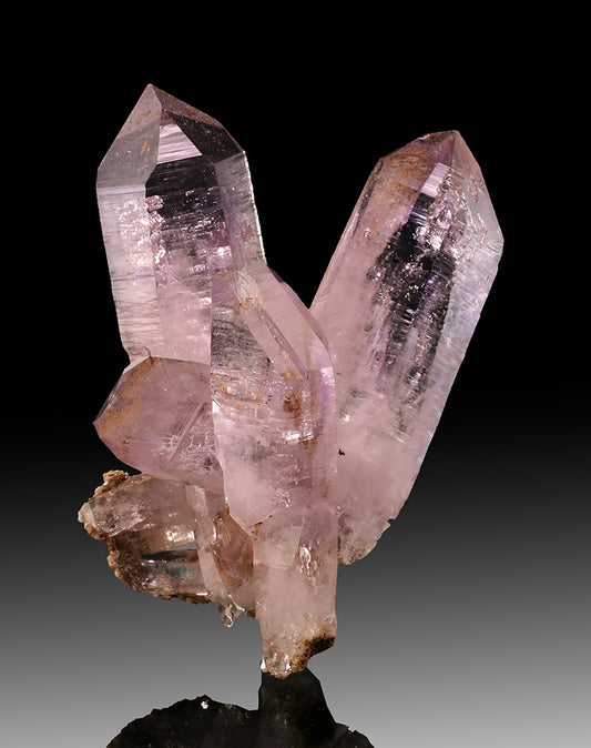 Vera Cruz Amethyst Cluster