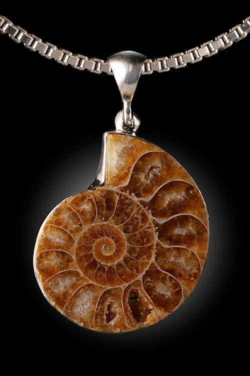 Ammonite Pendant with Chain