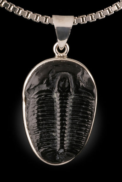 Trilobite Pendant (with chain)