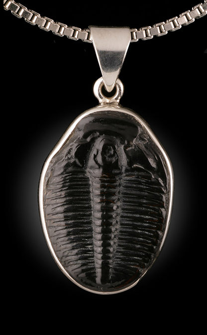 Trilobite Pendant (with chain)