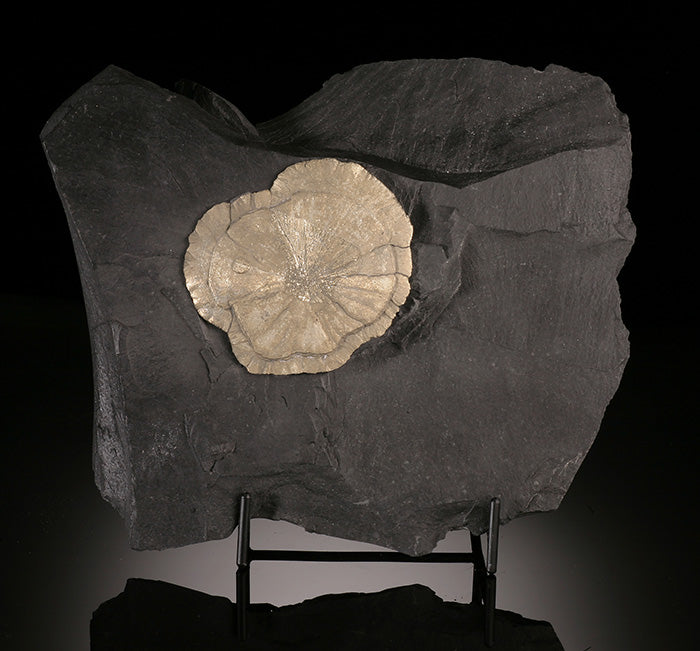 Pyrite Sun in Matrix (with stand)