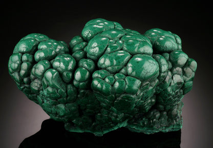 Malachite Brain, D.R.O.C