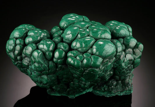 Malachite Brain, D.R.O.C