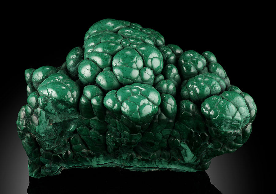 Malachite Brain, D.R.O.C