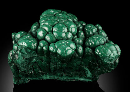 Malachite Brain, D.R.O.C