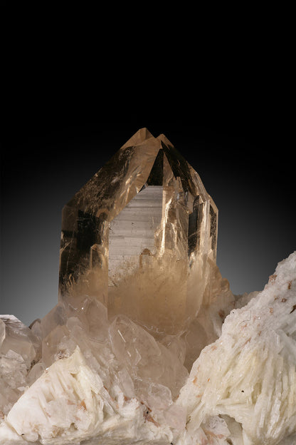 Citrine on Mica - Brazil