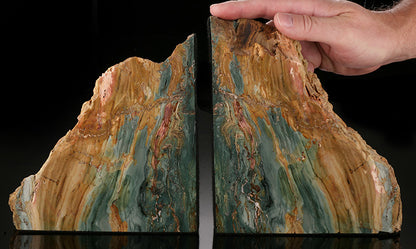 Gary Green Swamp Bog Bookends