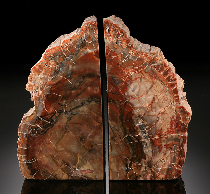 8" Petrified Wood Bookends, Madagascar