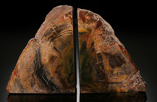 Petrified Wood Bookends, Madagascar