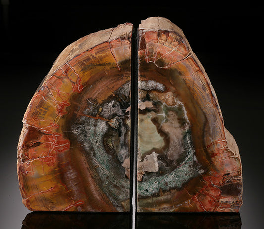 7-1/2" Petrified Wood Bookends, Madagascar