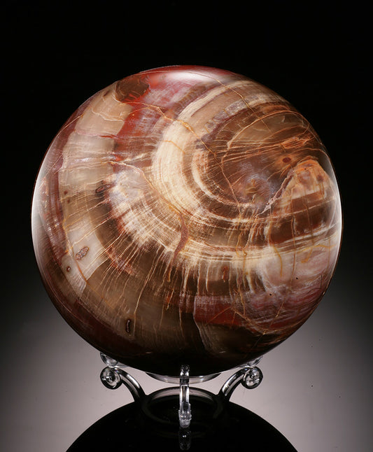 5" Petrified Wood Sphere (with stand)