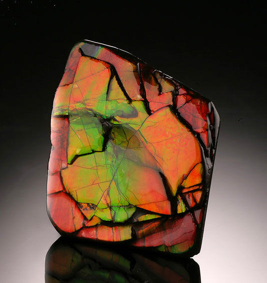 1-1/4" Ammolite Specimen