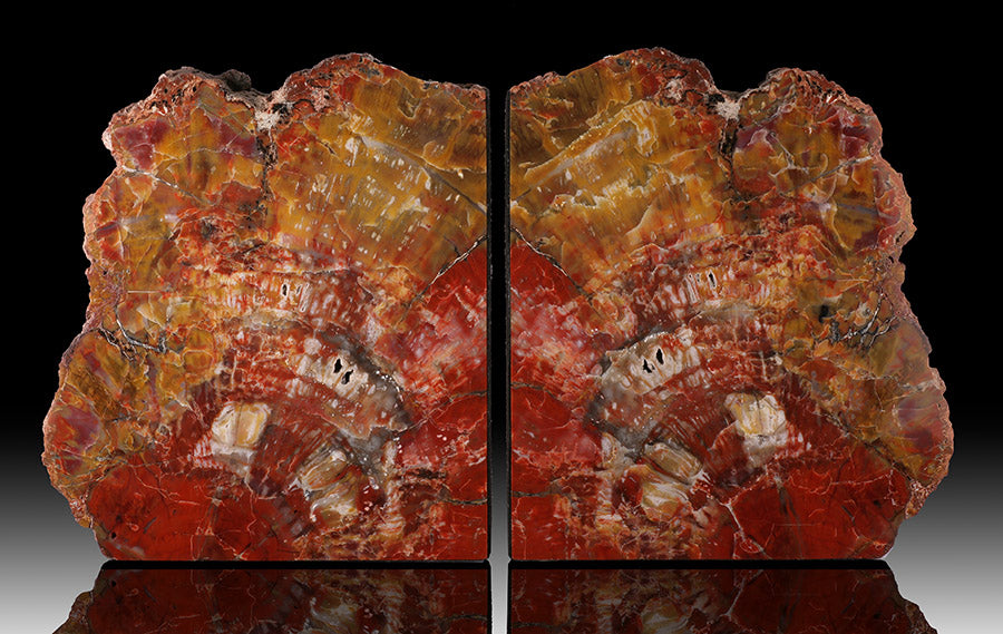 LARGE Petrified Wood Bookends - Arizona