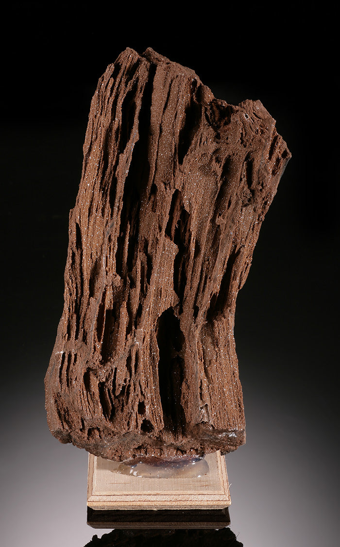 Druzy Quartz on Petrified Wood (Copy)