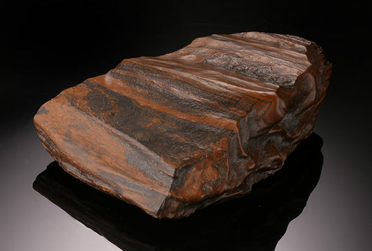Banded Iron Fossil