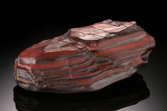 Banded Iron Fossil