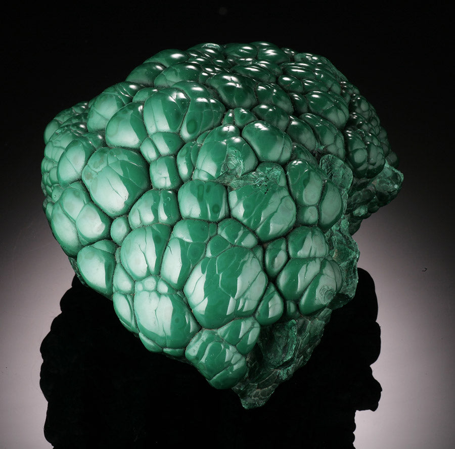 Botryoidal Malachite "Brain"