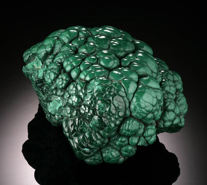 Botryoidal Malachite "Brain"