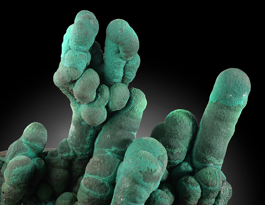 Druzy Malachite Stalactites