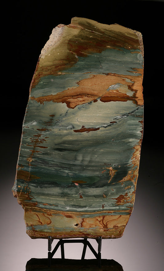 Petrified Swamp Bog - Oregon